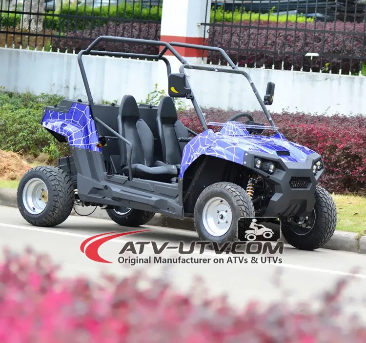 Utv 1000cc 1000w Electric Utv 2 Seats 2wd Or 4wd 4x4 Epa Dot Eec Coc