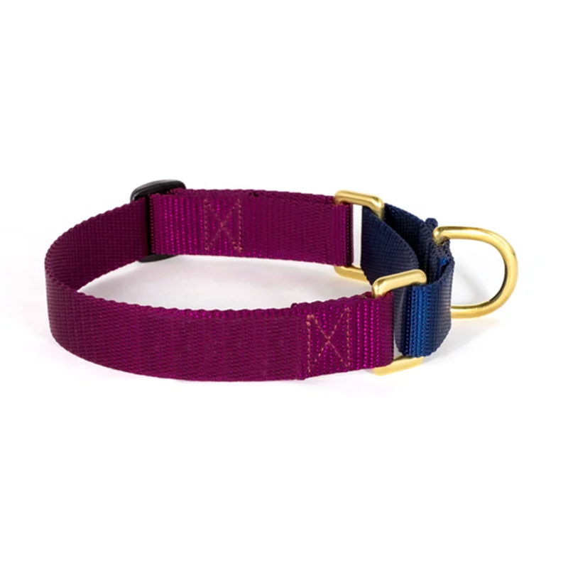 training dog collar (4)