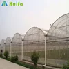 Multi Span Greenhouse Shelter Gutter Connected Greenhouse for Tomato Vegetable