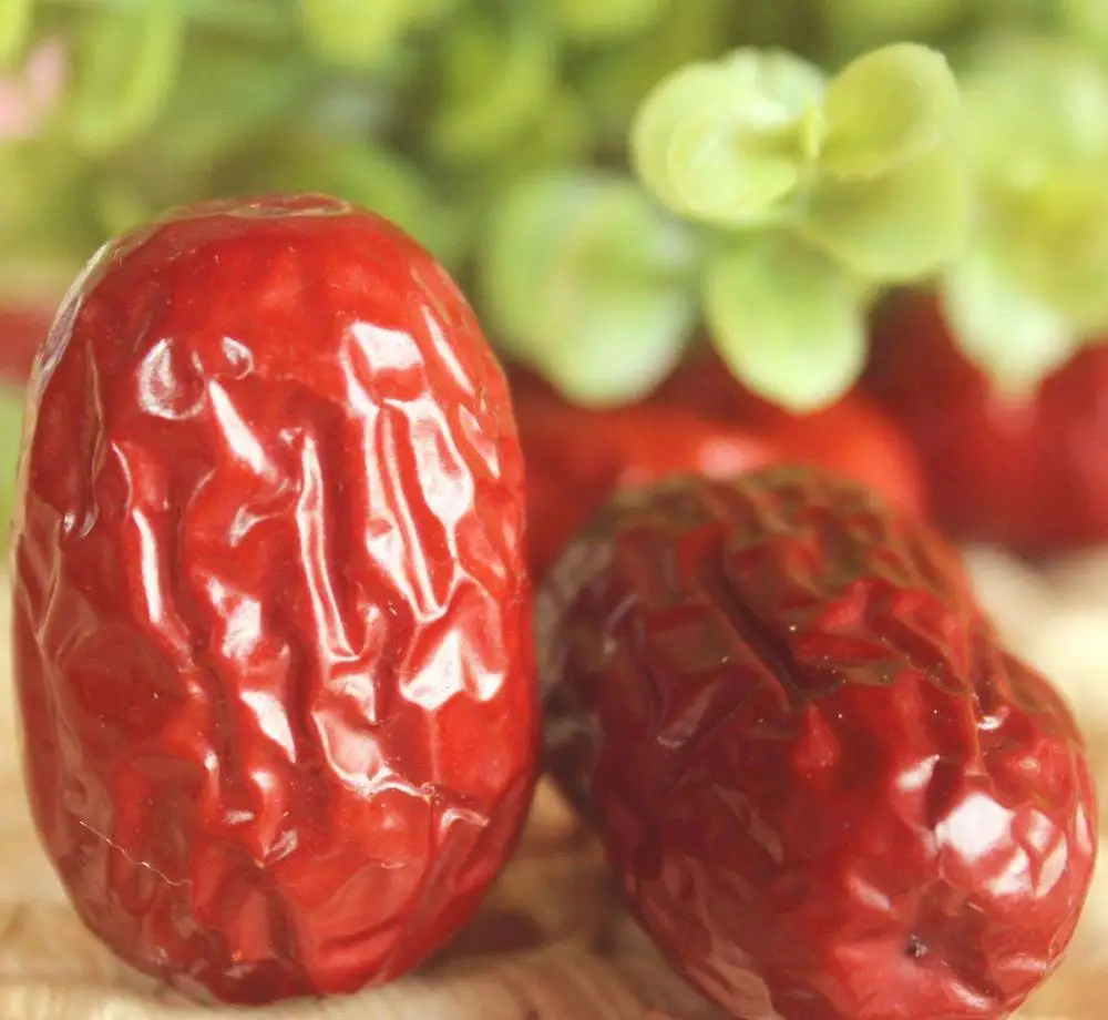 Красная дата. Wrapping Date Fruit.