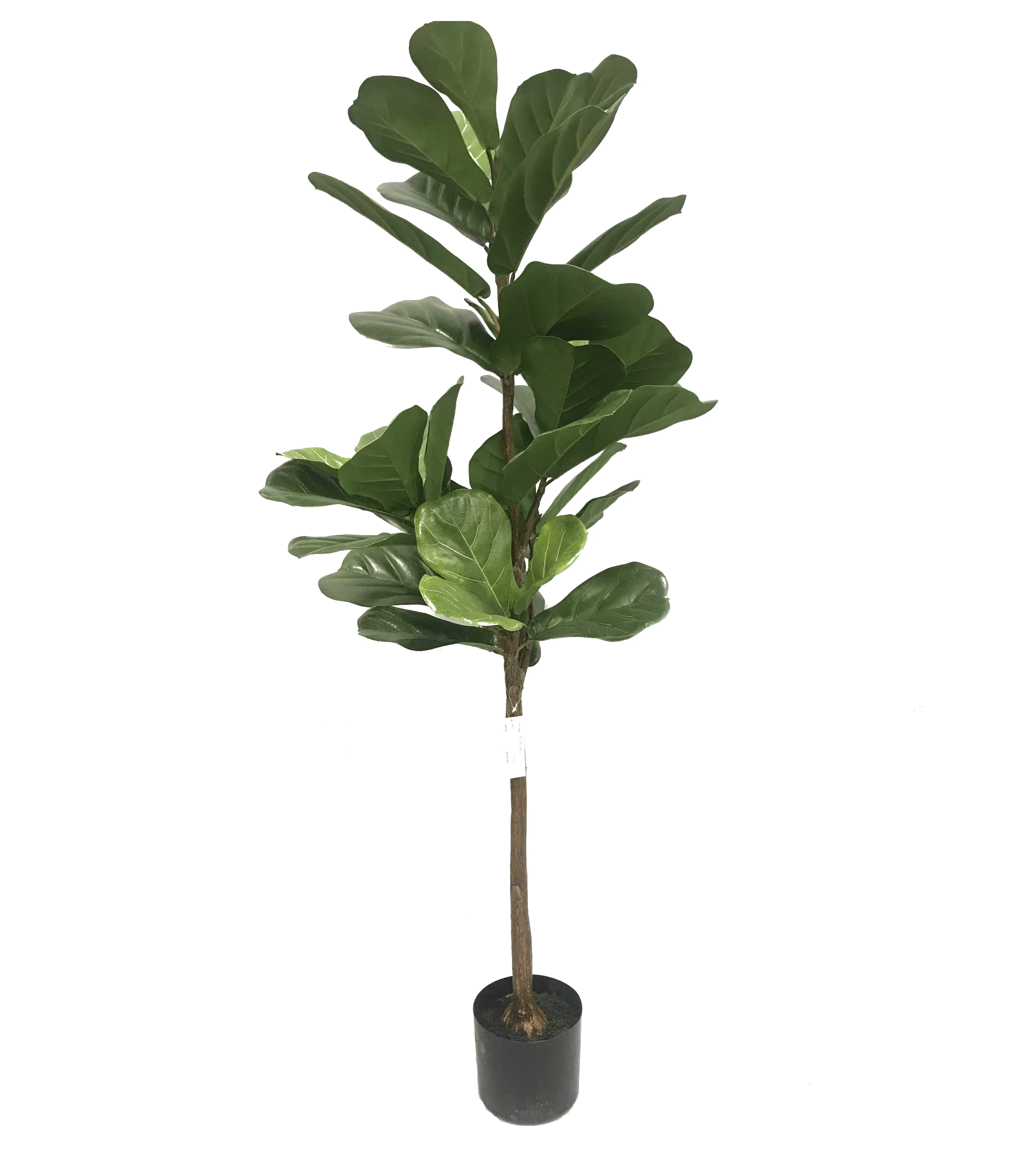 10 Years Factory Supplier Indoor Artificial Bonsai Ficus Microcarpa