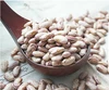 Sugar Beans in south africa/ Price for sugar beans/ Light Speckled Kidney Beans/ LSKB