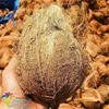 Decoloring Agent Of Food Activated Carbon