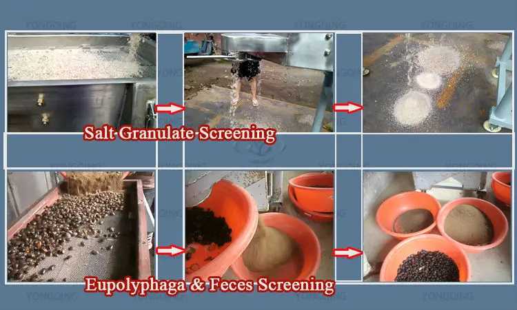 Linear sieve shaker for cocoa powder sieve equipment