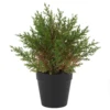 Wholesale Green outdoor palm tree artificial for home decoration