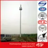 Conical Type Q345 Telecomminication Microwave Monopole Tower with One Platforms