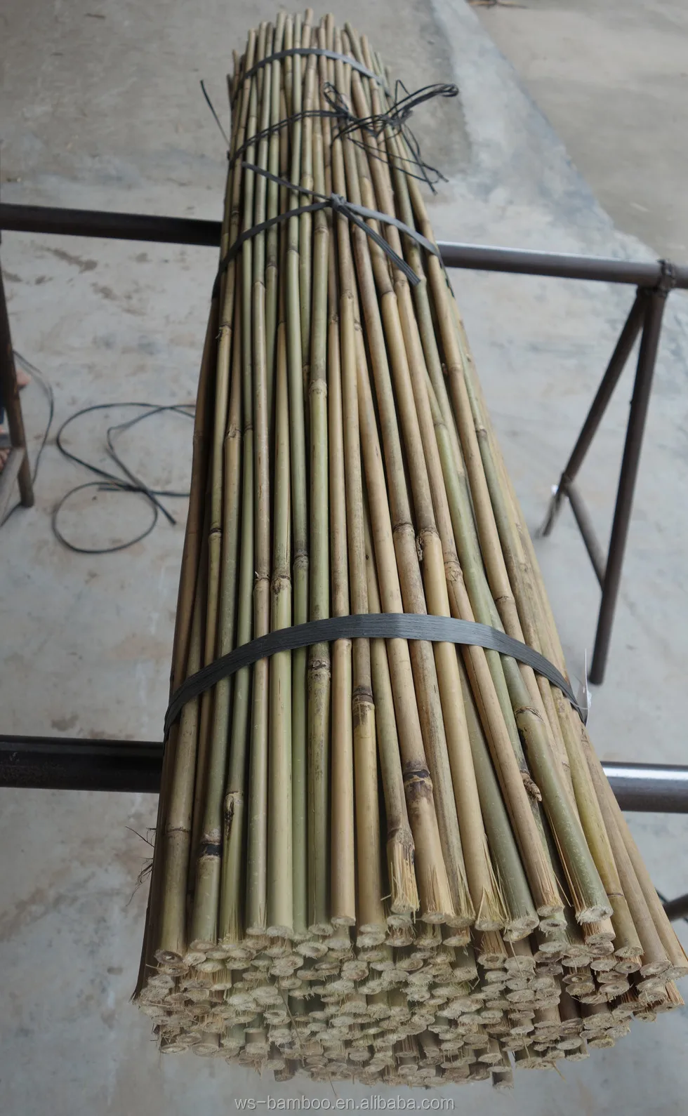 Bambu Cane For Garden Decoration 4' X 810mm Buy Support Plants Of