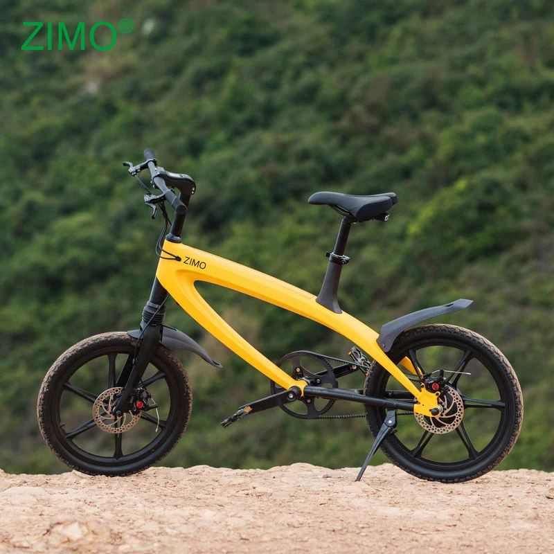 eco electric bike