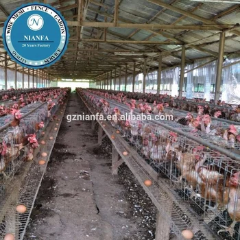 Zimbabwe Layer Farm Egg Chicken Cage In Guangzhou For Sale Buy Chicken Layer Cagepoultry Layer Cage For Salelayer Chicken Battery Cage Product On