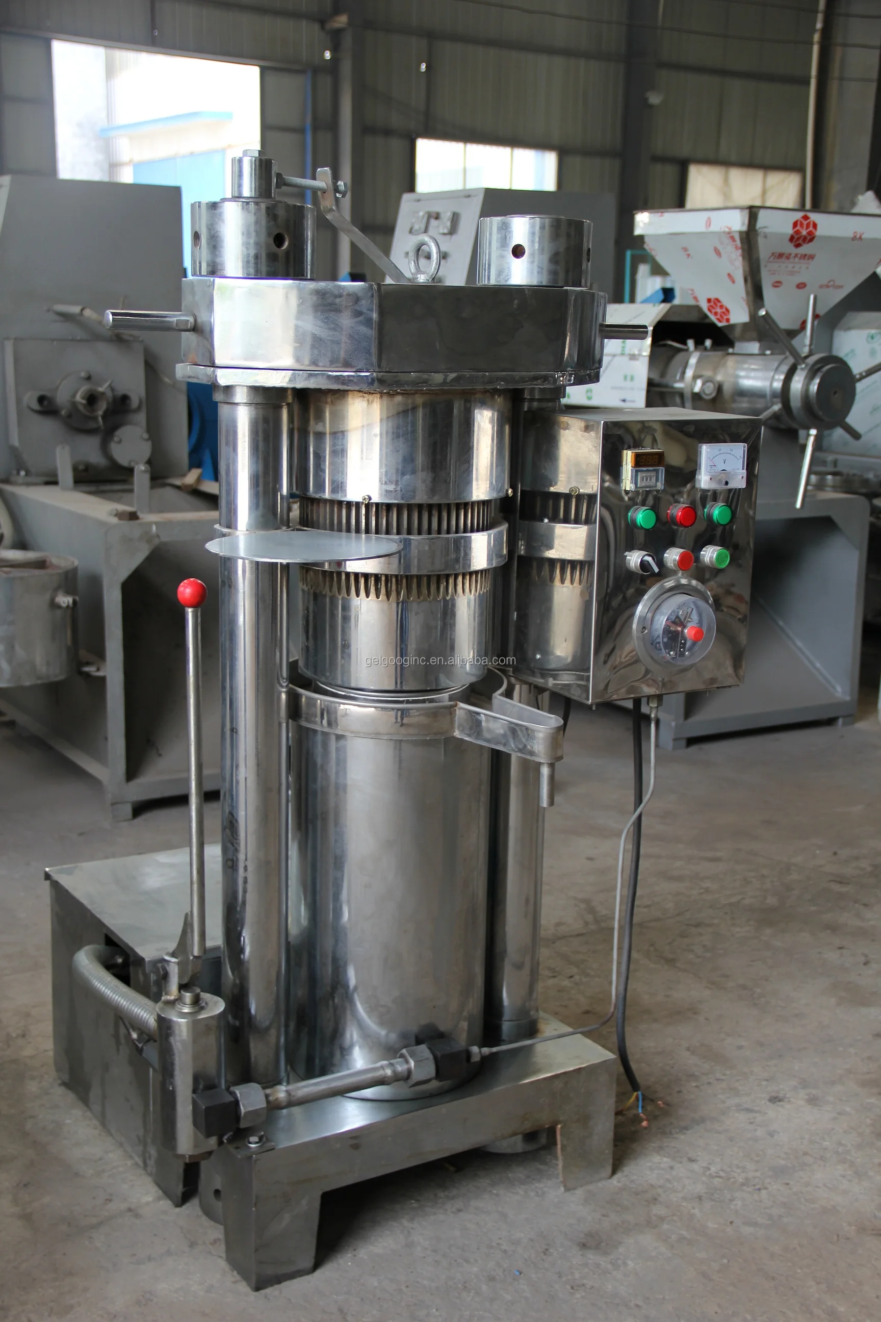 Stainless Steel Avocado Camellia Olive Palm Seed Almond Cold Press Sesame Oil Extraction Virgin Coconut Oil Extracting Machine