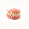 flexible dentures acrylic denture teeth false teeth dental