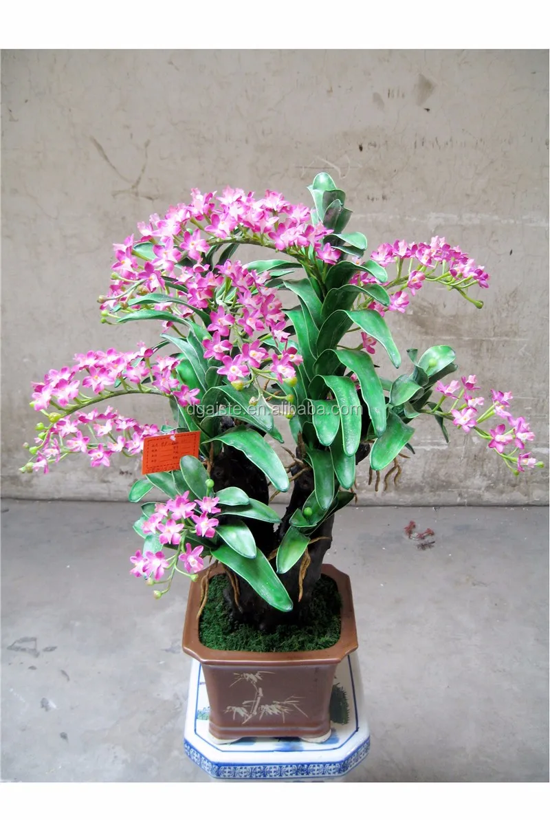 panduan anggrek bonsai pot cina antik pot bunga anggrek panduan anggrek bonsai pot cina antik pot bunga anggrek