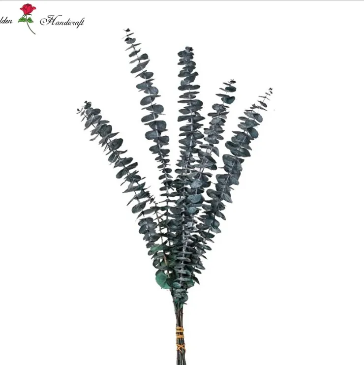 Wholesale Natural Dried Eucalyptus Preserved Eucalyptus Leaves For