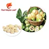 Red Maple Leaf Vitamin B used in Body Red Blood Cell Hematopoiesis