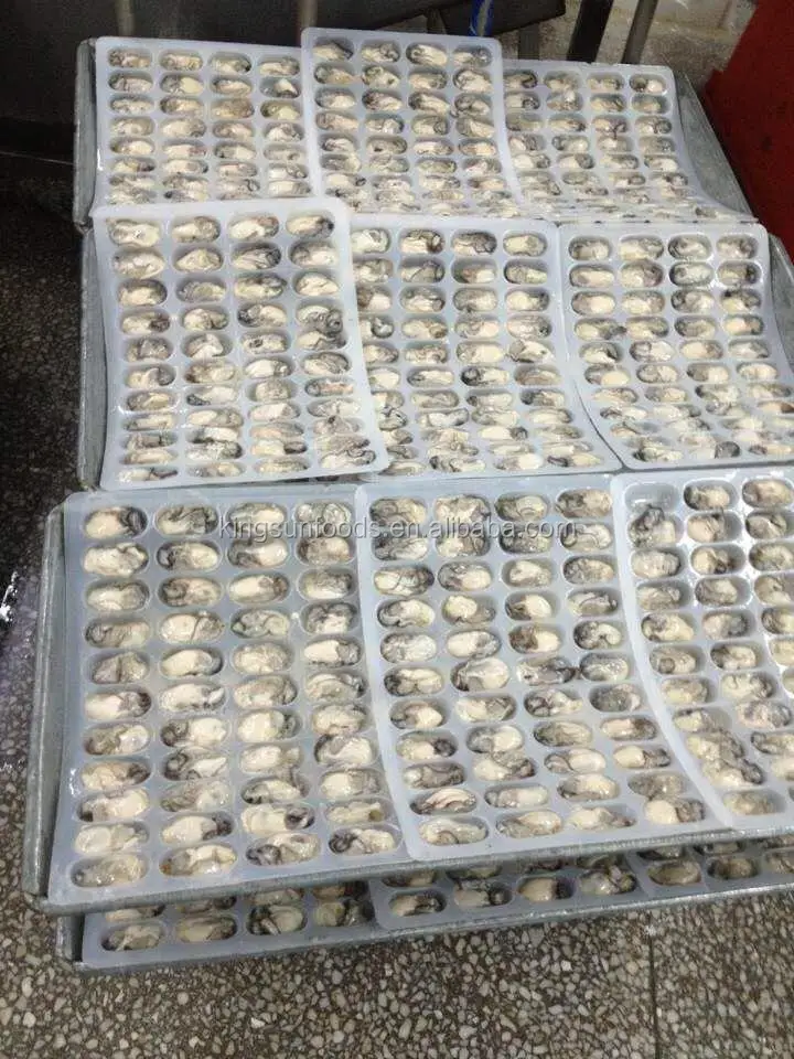 oyster meat (15).jpg