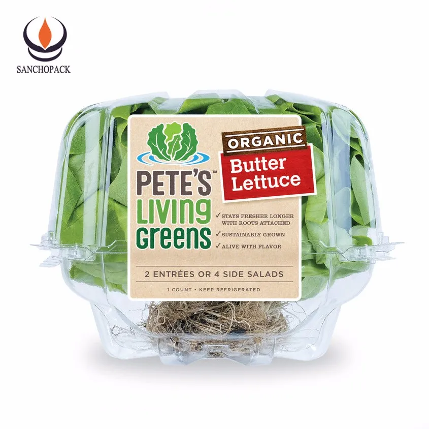 Hot sale lettuce crisper plastic clamshell packaging boxes for living