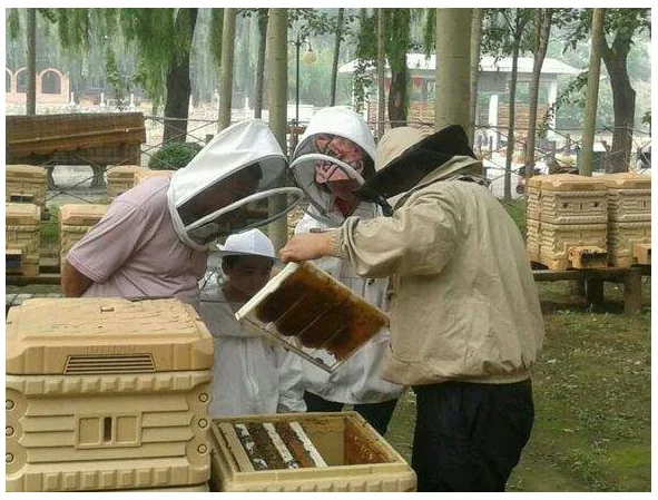 automatic bee hives