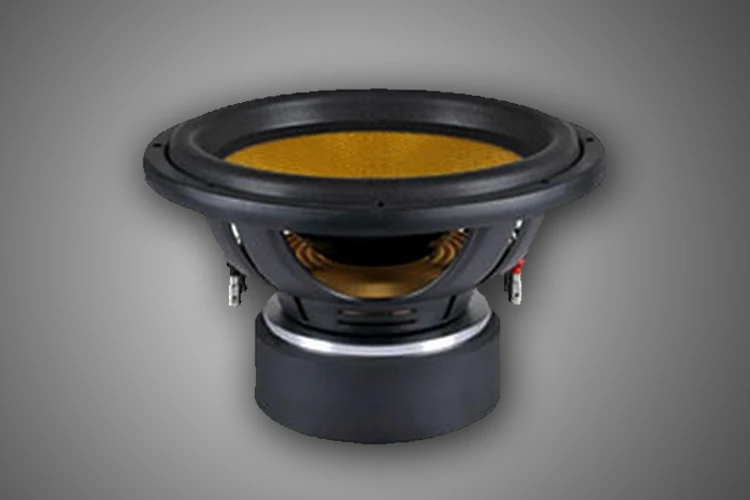 Accuracy Pro Audio Sq15 2.5"vc Car Audio Woofer Buy Audio Woofer