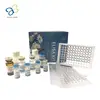 Human Neutrophil elastase,ELANE Elisa Kit