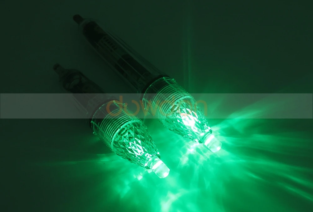 Attracting fish lamp 8032 170508 (12).JPG