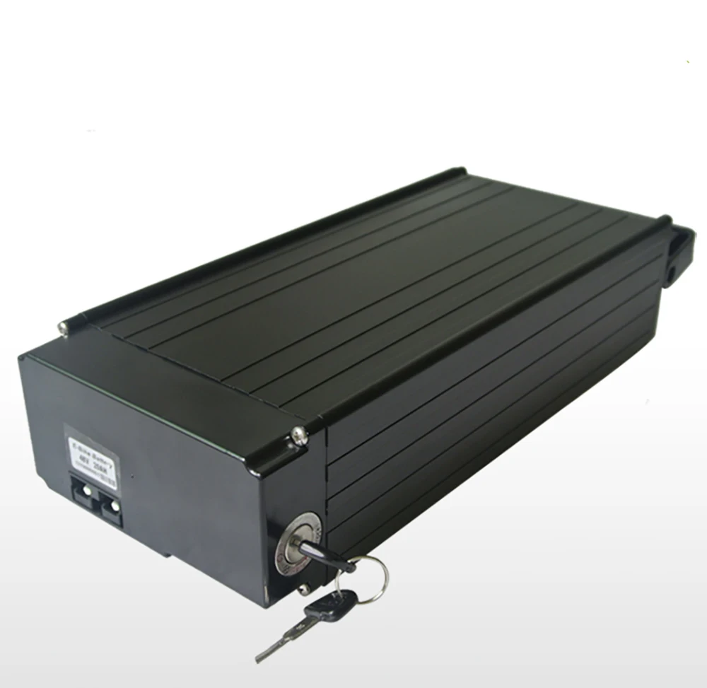 48v 1000w battery