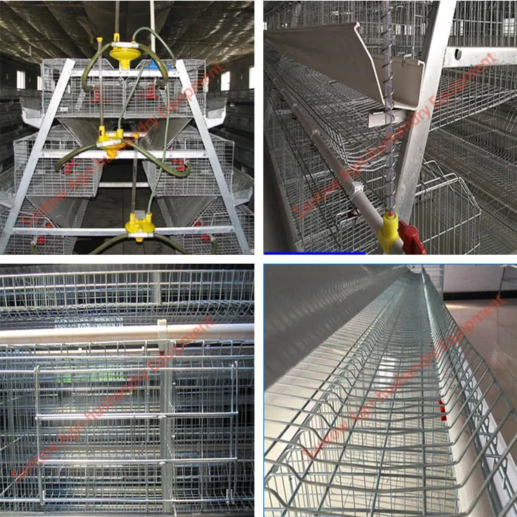Automatic chicken cages hot galvanized poultry cage cheap price egg layers cage design for farm design