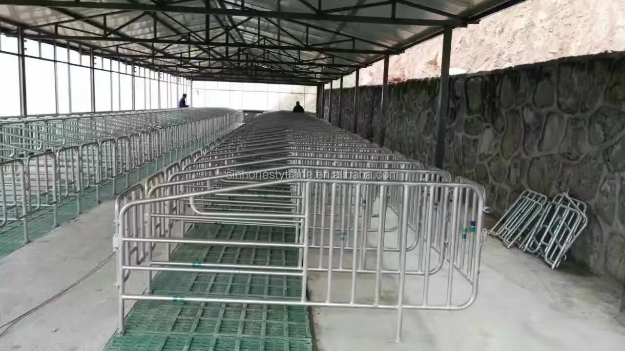 gestation crate 02.jpg