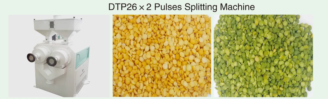 DTP26-2 