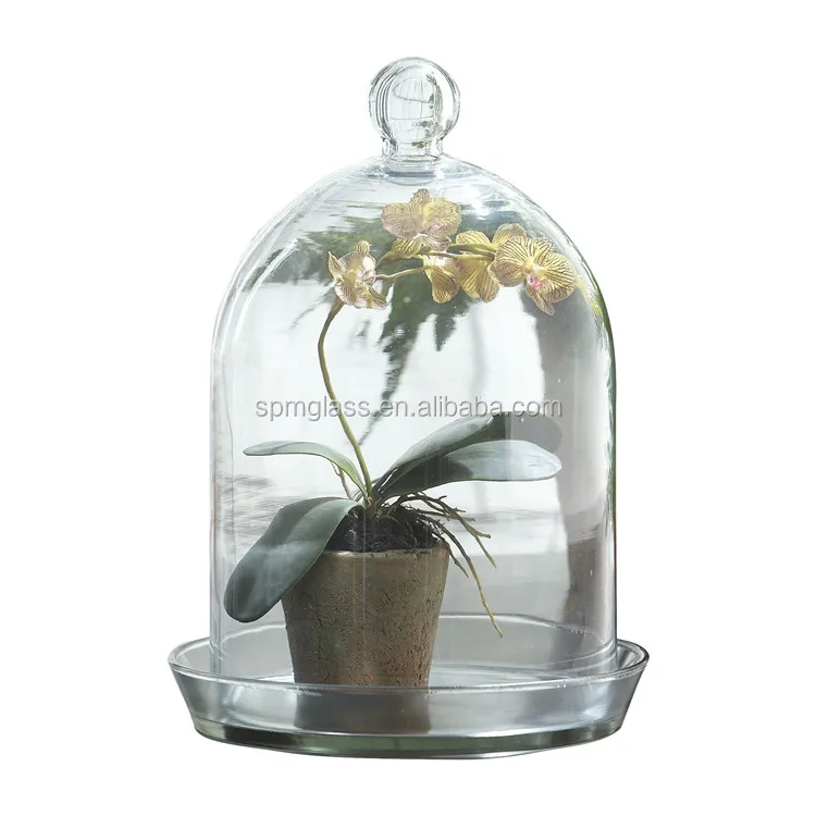 вакуумный колокол лабораторный. вакуумный колпак лабораторный. колба колокол. кипения жидкости в колбе. вакуумный насос комовского лабораторный.