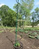 6 mm wire diameter powder coated Tomato Growing Sticks 1.8m Tall