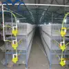 Guangzhou Factory Pourtry Galvanized Broiler Cage/Rabbit Cage/Chick cage