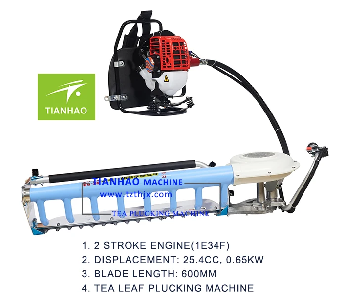 Tea leaf plucker.jpg