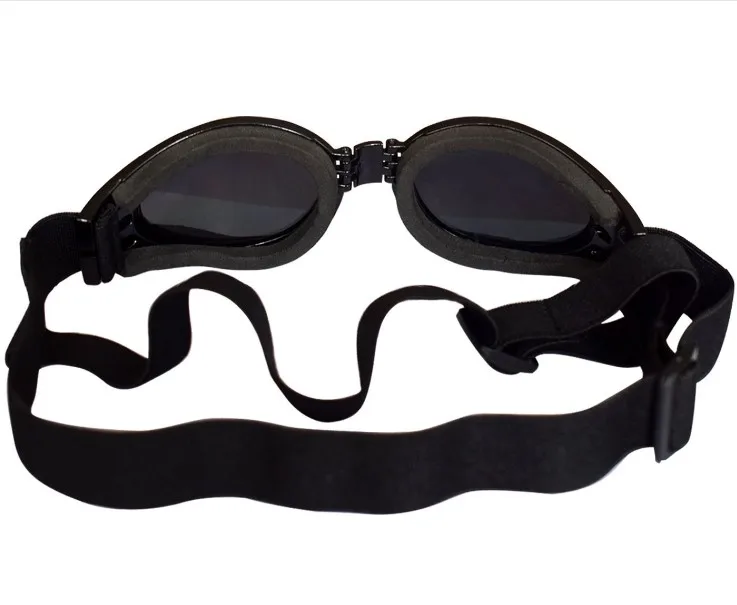 china pet dog sunglasses.JPG
