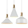 2019 New Type hot sale modern european style pendant lamp