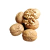 walnut kernel halves extract,walnut kernels shelled