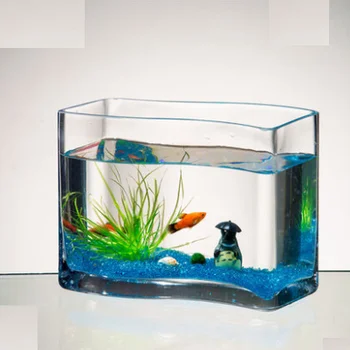 rectangular fish bowl