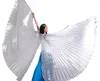 BestDance india opening belly dance isis wings dance big angel wings open on the back OEM