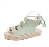 zm51215c 2019 summer hot style casual sandals large sizes women shoes
