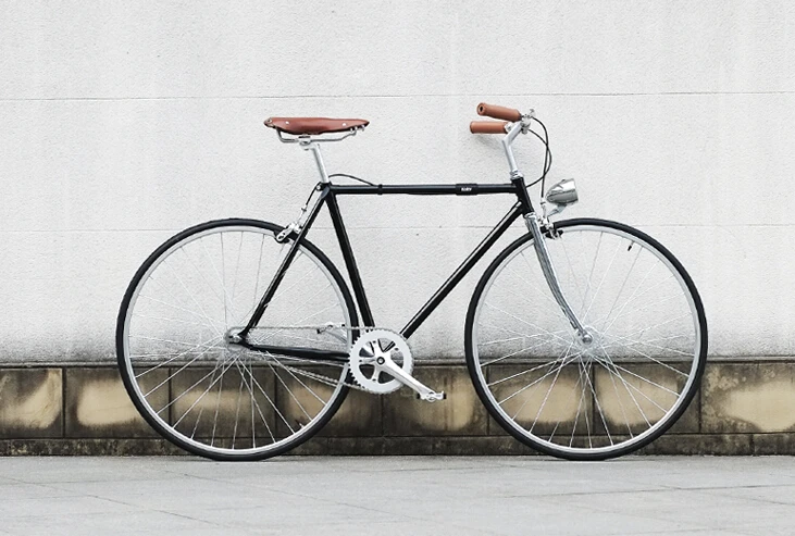 Vintage Looking Bicycle 109