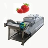 Stainless steel fruit and vegetable blanching machine for yam roasted peanut