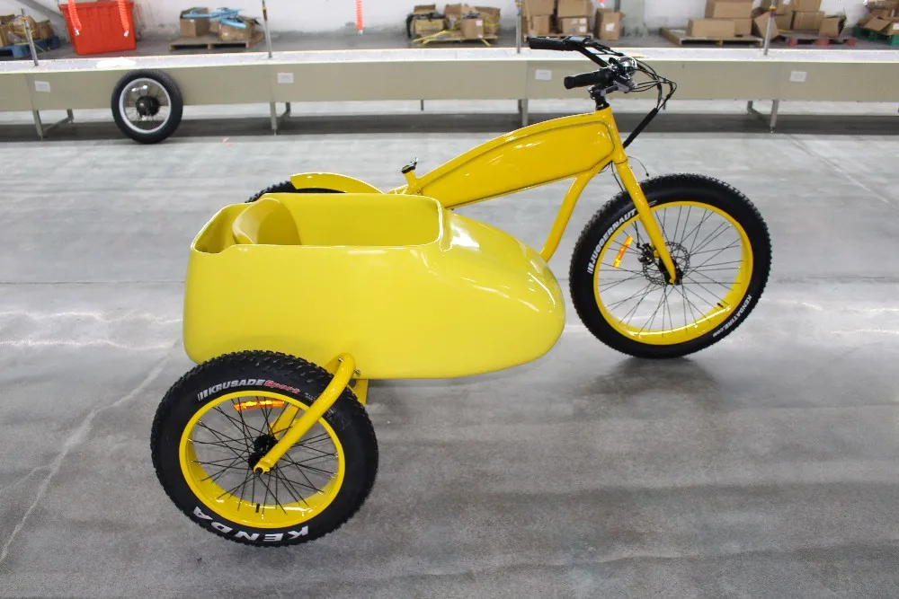 3 wheel electric tricycle with side car