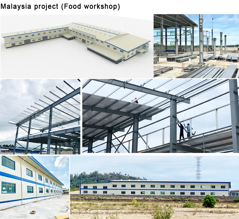 Malaysia project.jpg