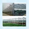 Wholesale China Film Cover Agriculture Planting Farm Plastic Film Greenhouse