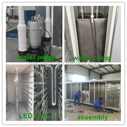 hydroponic fodder system