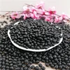 new crop Big Black Beans