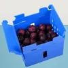 Eco-friendly pp coroplast plastic vegetable storage box packaging with iso fda certificate