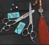 F2Z-60 9cr13 big bearing screw 6 inch barber scissors hair scissors professional hair shear