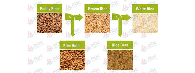 Machine Pakistan machinery price mini rice mill