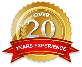 20 Years experience. Years of experience. 20 Years logo. Experience логотип.