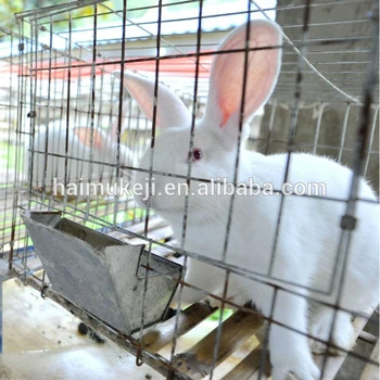 Wholesale Rabbit Food Feeder Buy Rabbit Food Feeder Automatic